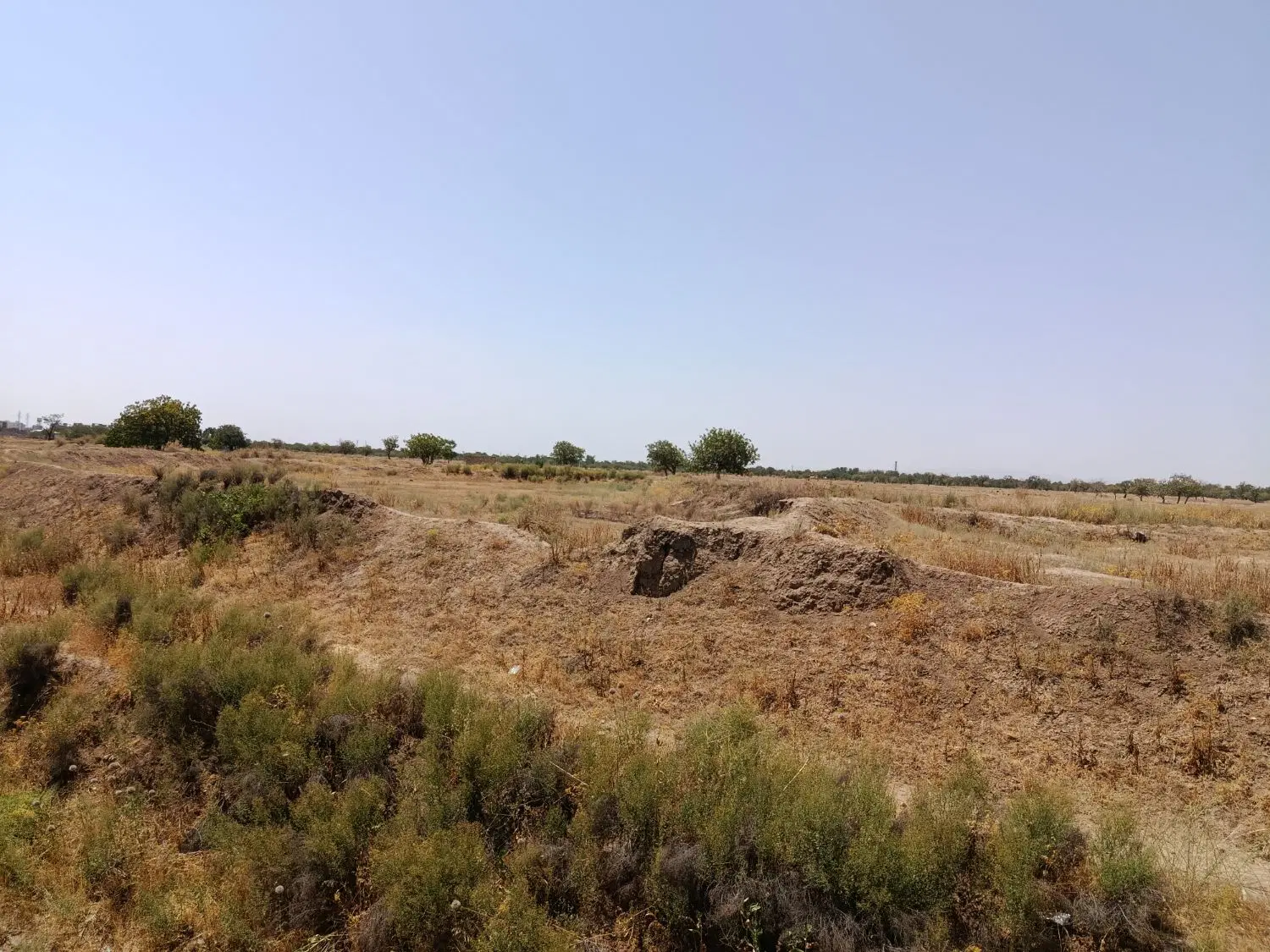 زمین مسکونی