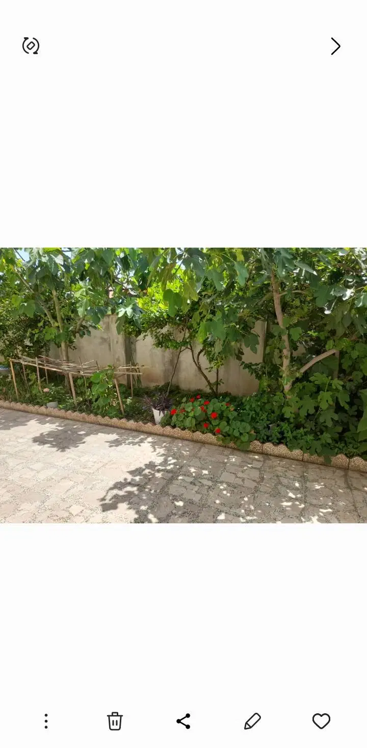 رهن و اجاره سوییت