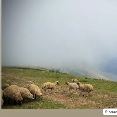 زمین فیروز اباد روی جاده