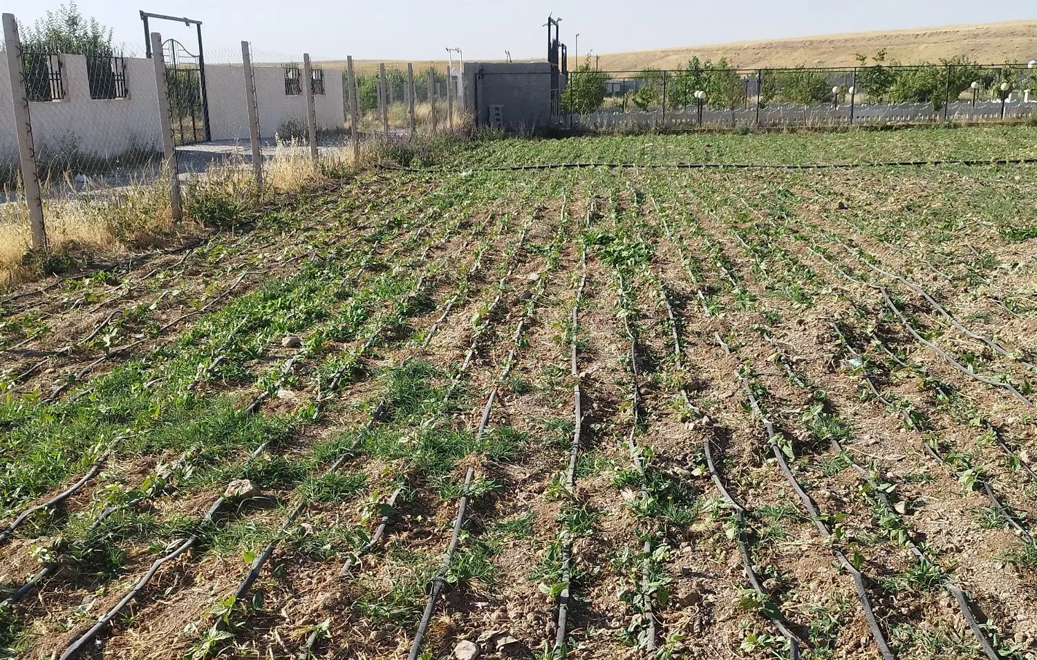 ۱۰۵۷مترمربع خانه باغ نزدیک مسکونی