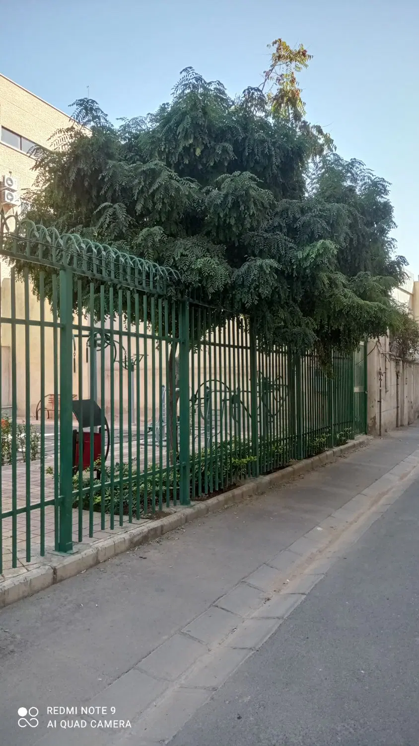 خیابان ایران _ امین حضور_ بر ۱۷ دستور نقشه ۵ طبقه
