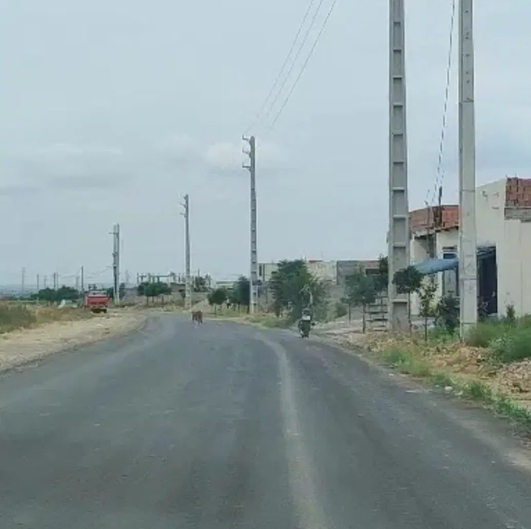 خلیج ۹
