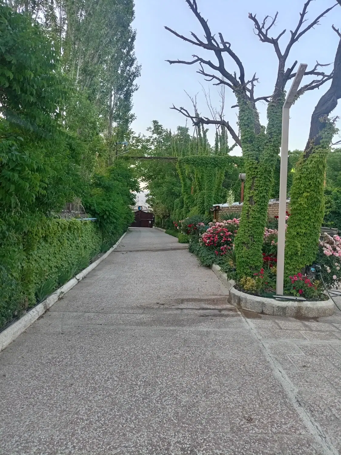 اجاره ویلا باغ