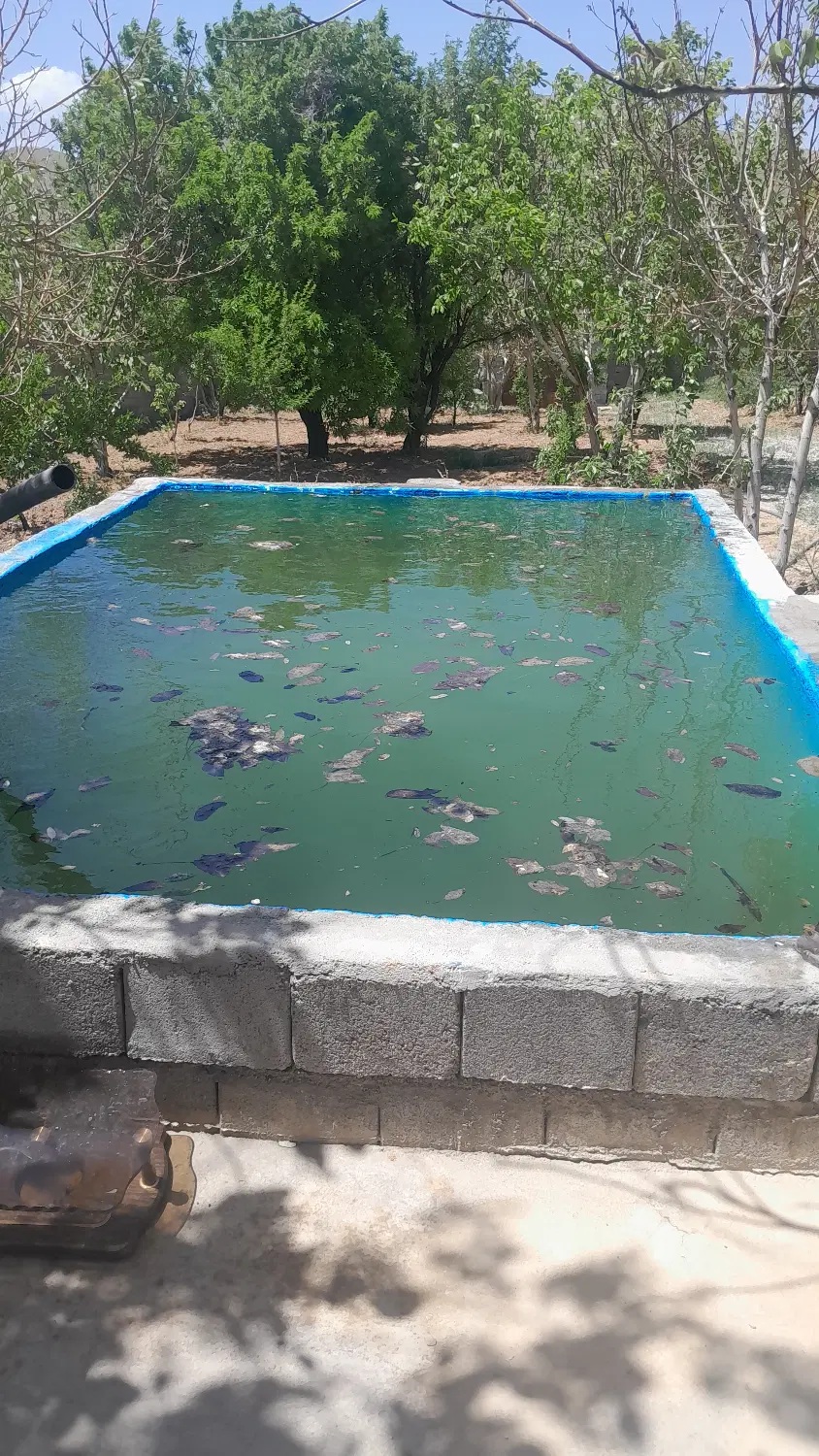 فروش باغ