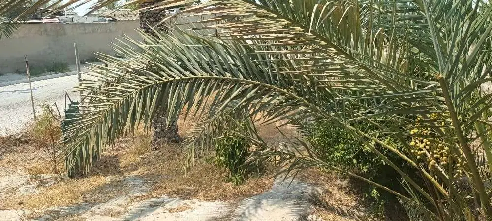 فروش خانه