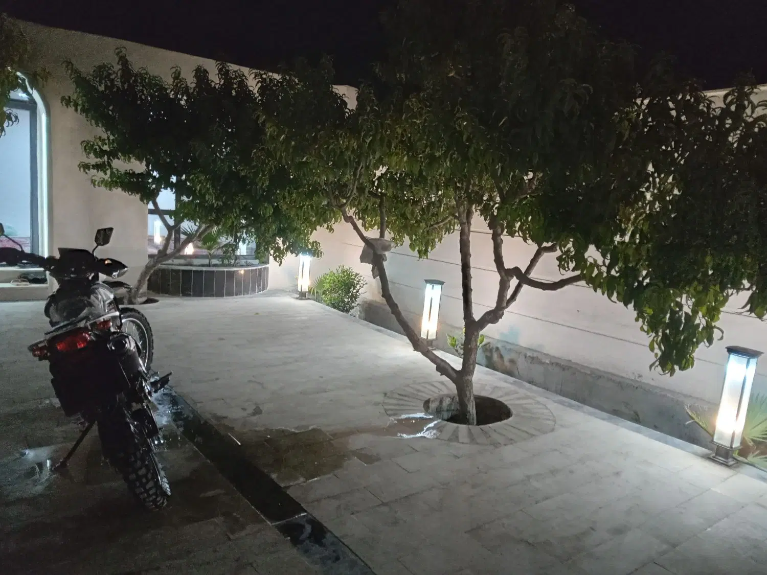 همخانه