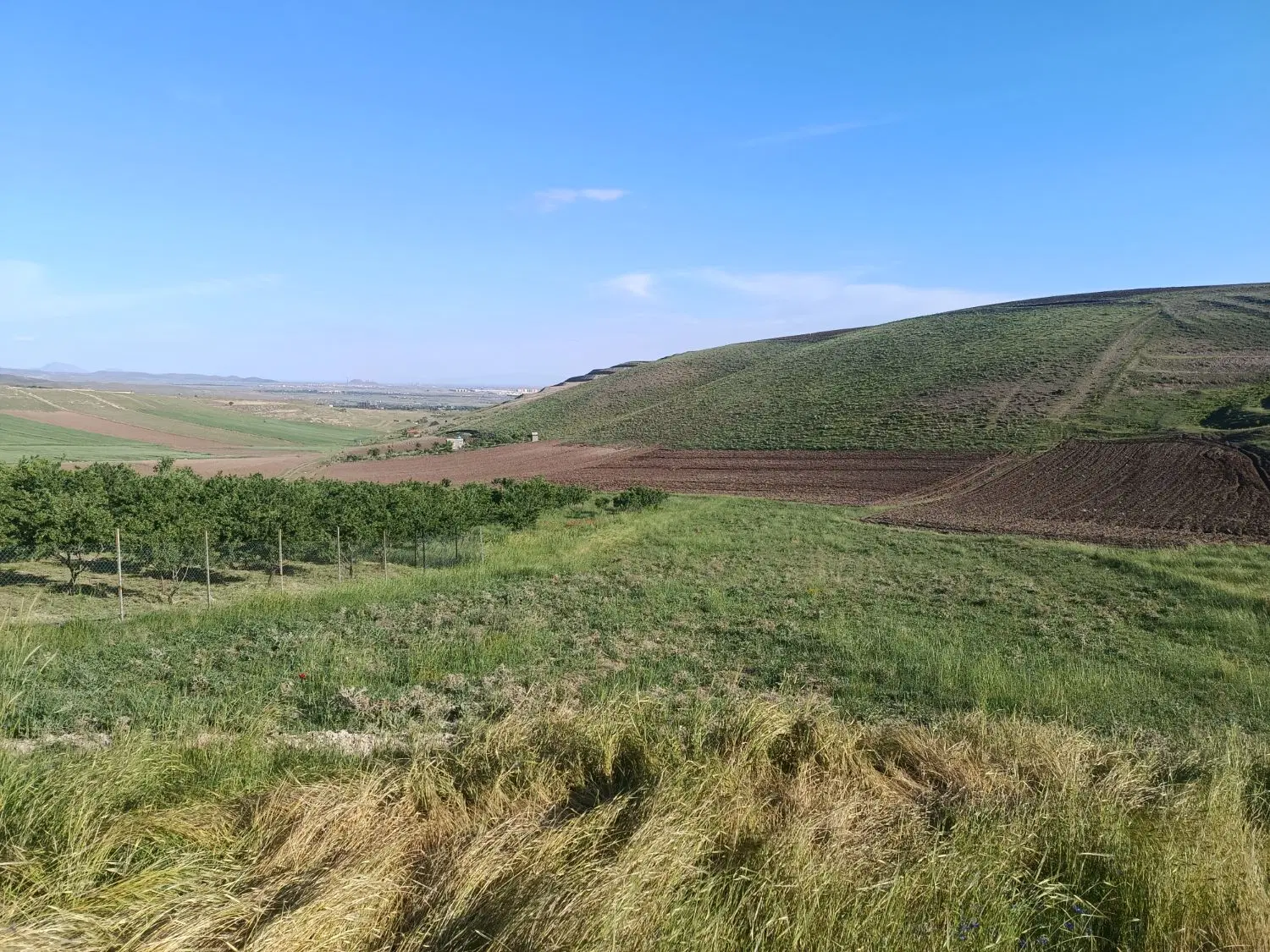 زمین ویلایی به متراژ ۲۰۰۰ متر دارای سند تک برگ