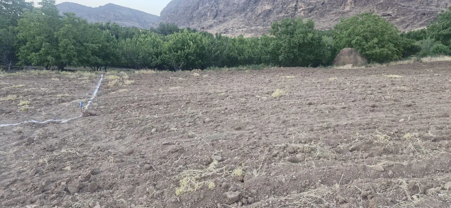 زمین باغچه ازنا سگوند