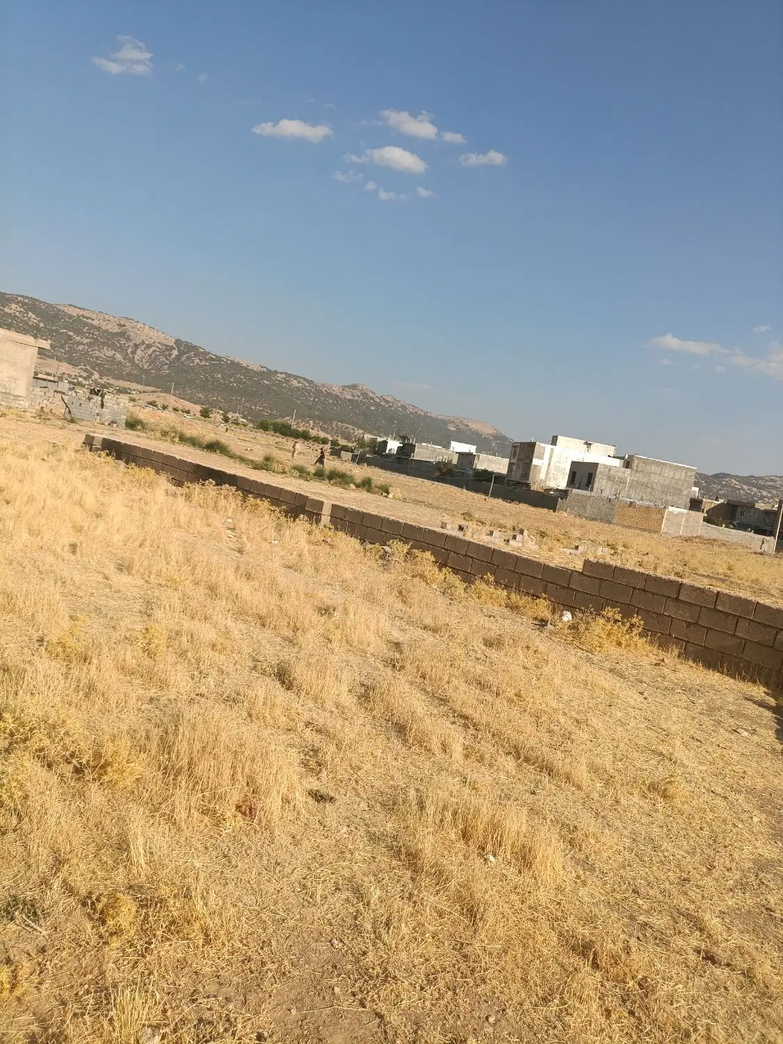 زمین تلخسرو به فروش میرسد