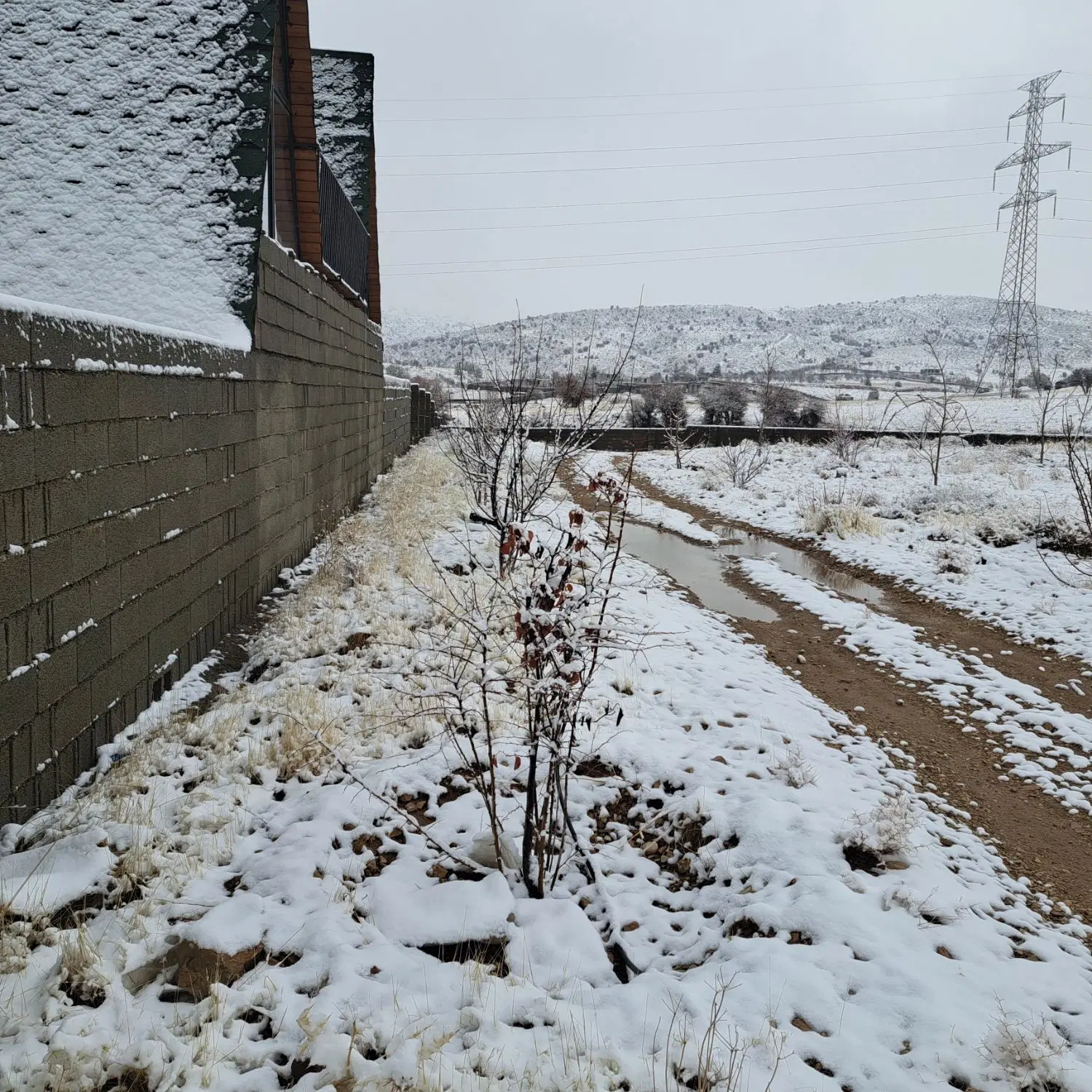 ۳۵۰متر باغچه