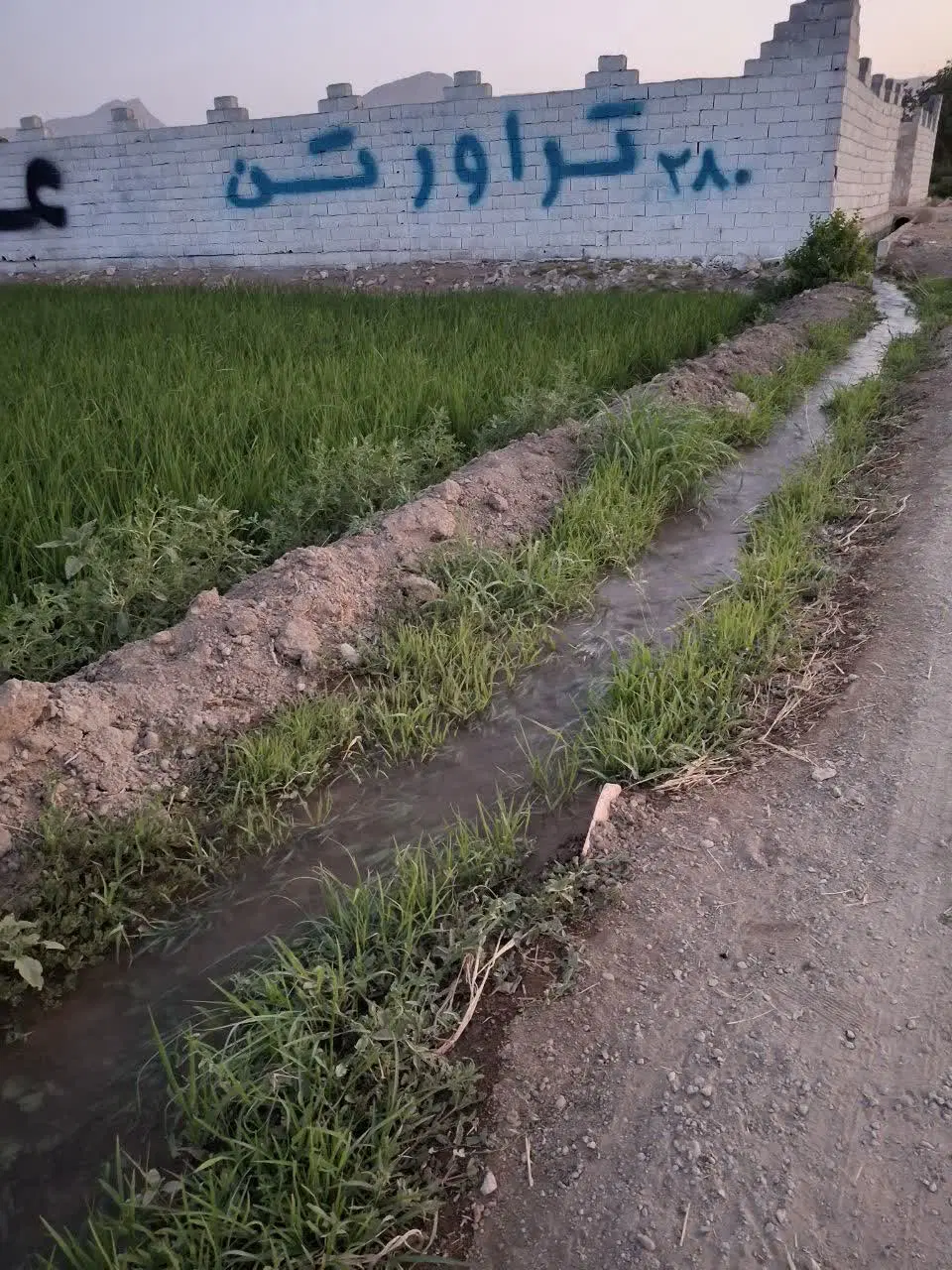 فروش زمین باغی