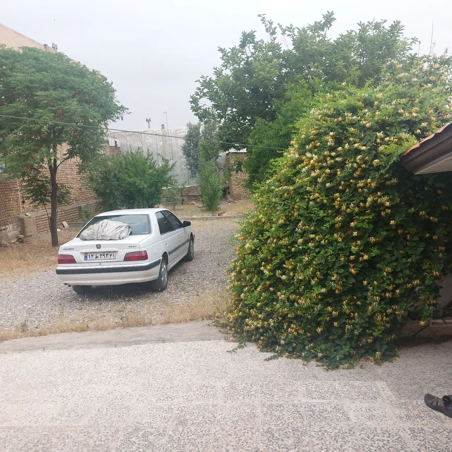 ویلا باغ اجاره ای کوتاه مدت