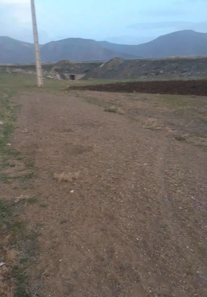 زمین کشاورزی