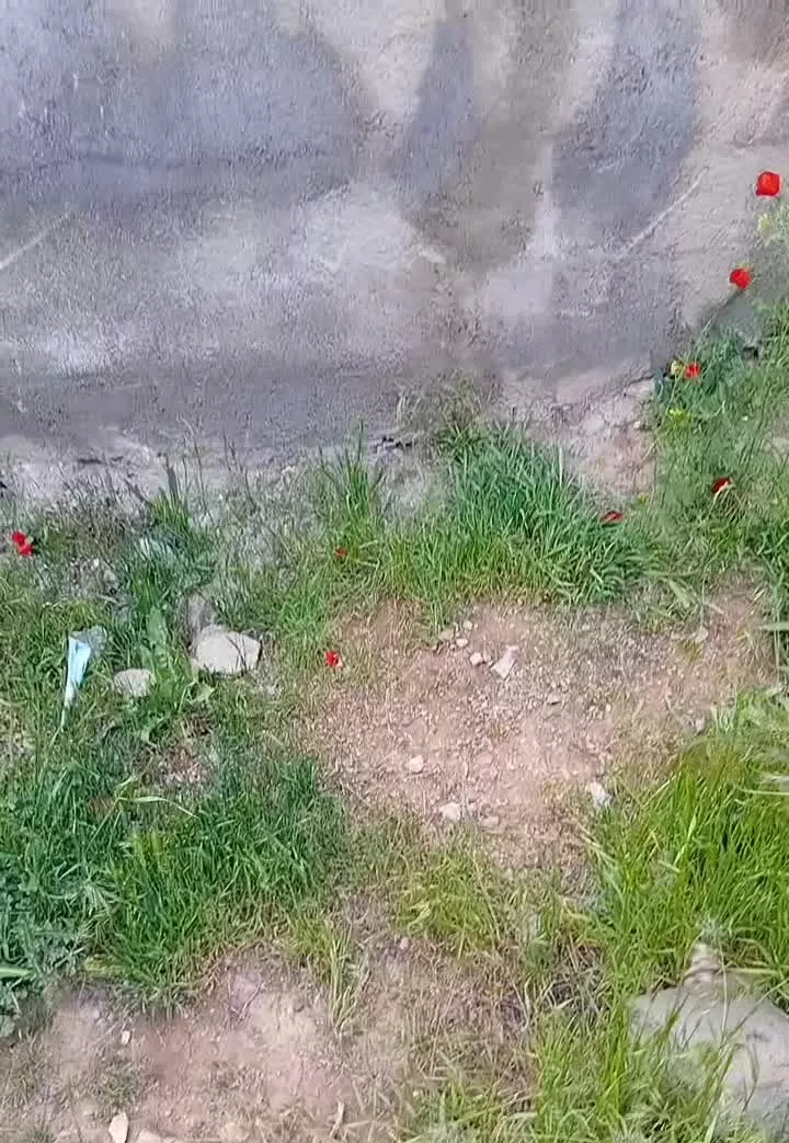 باغ ۵۰۰۰متری اگه دوس داری سرمایه ات حفظ بشه
