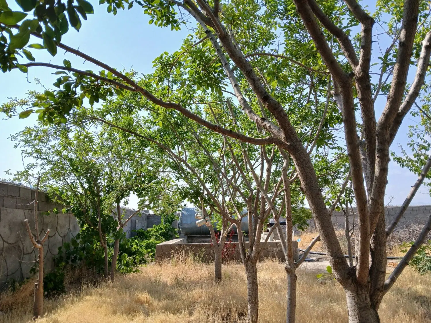 خونه باغ