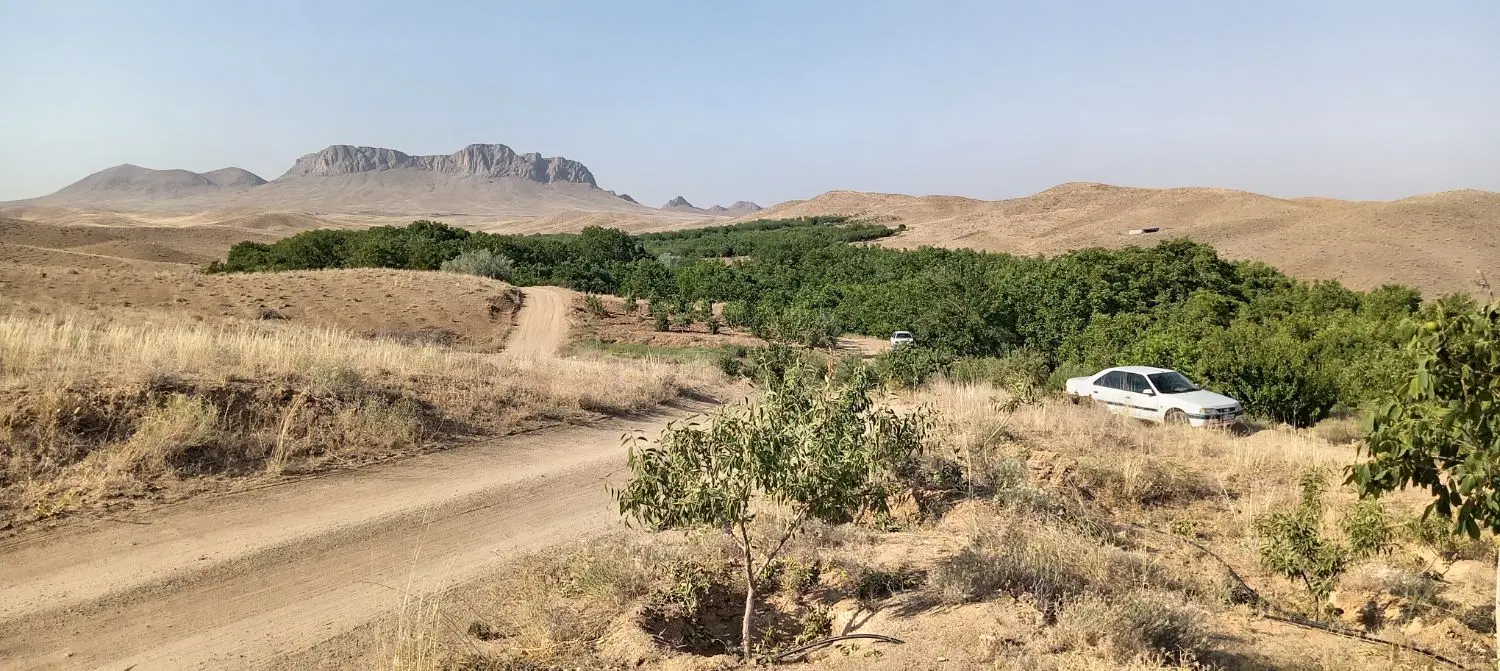 باغ 4جیریب در محدوده دنبال رودخانه