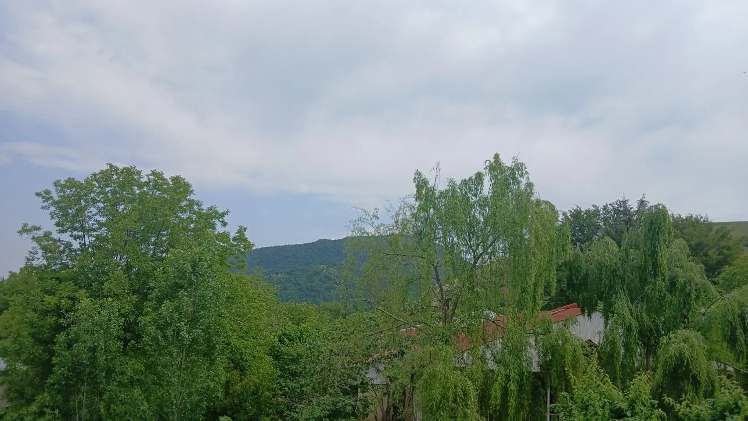 فروش زمین ۱۰۰۰ متری در روستای شیرکوه  ویوی ابدی