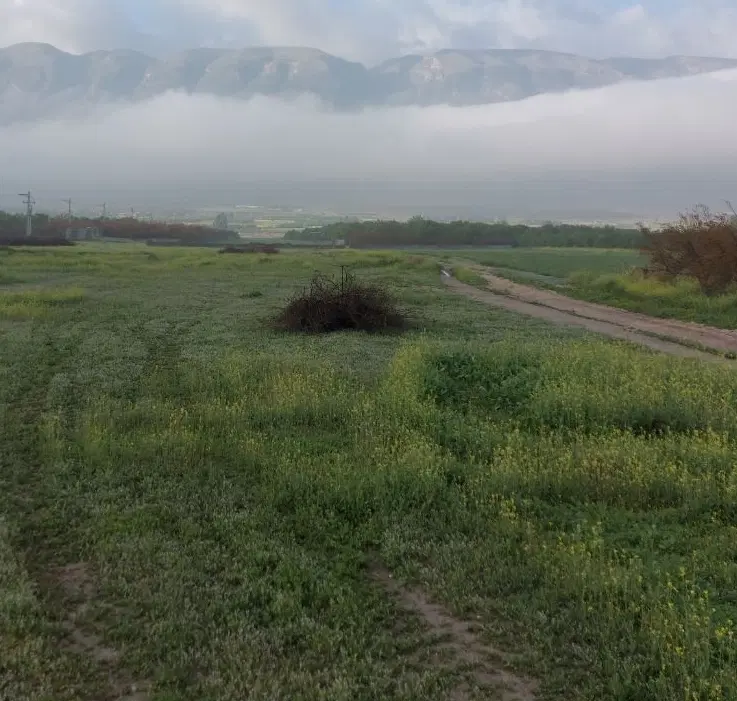 زمین فروشی