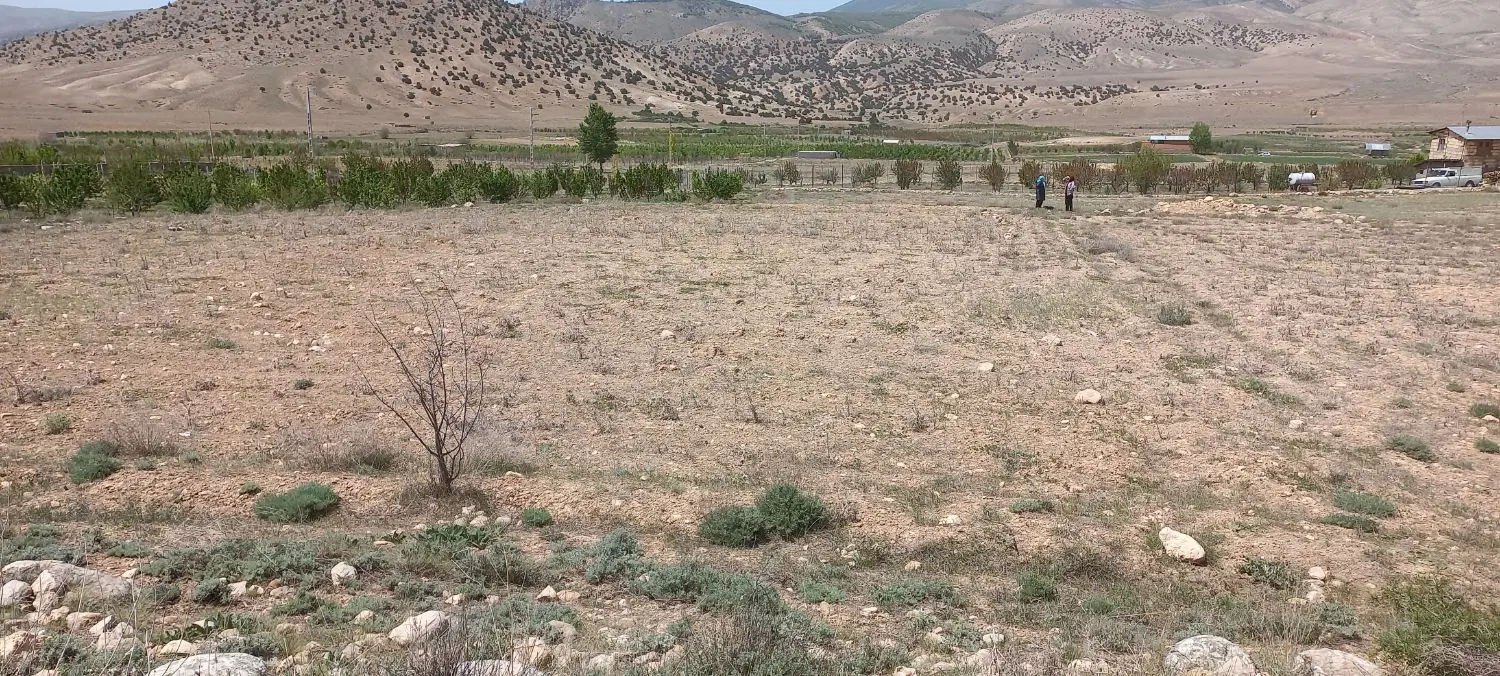 زمین کشاورزی تلمادره