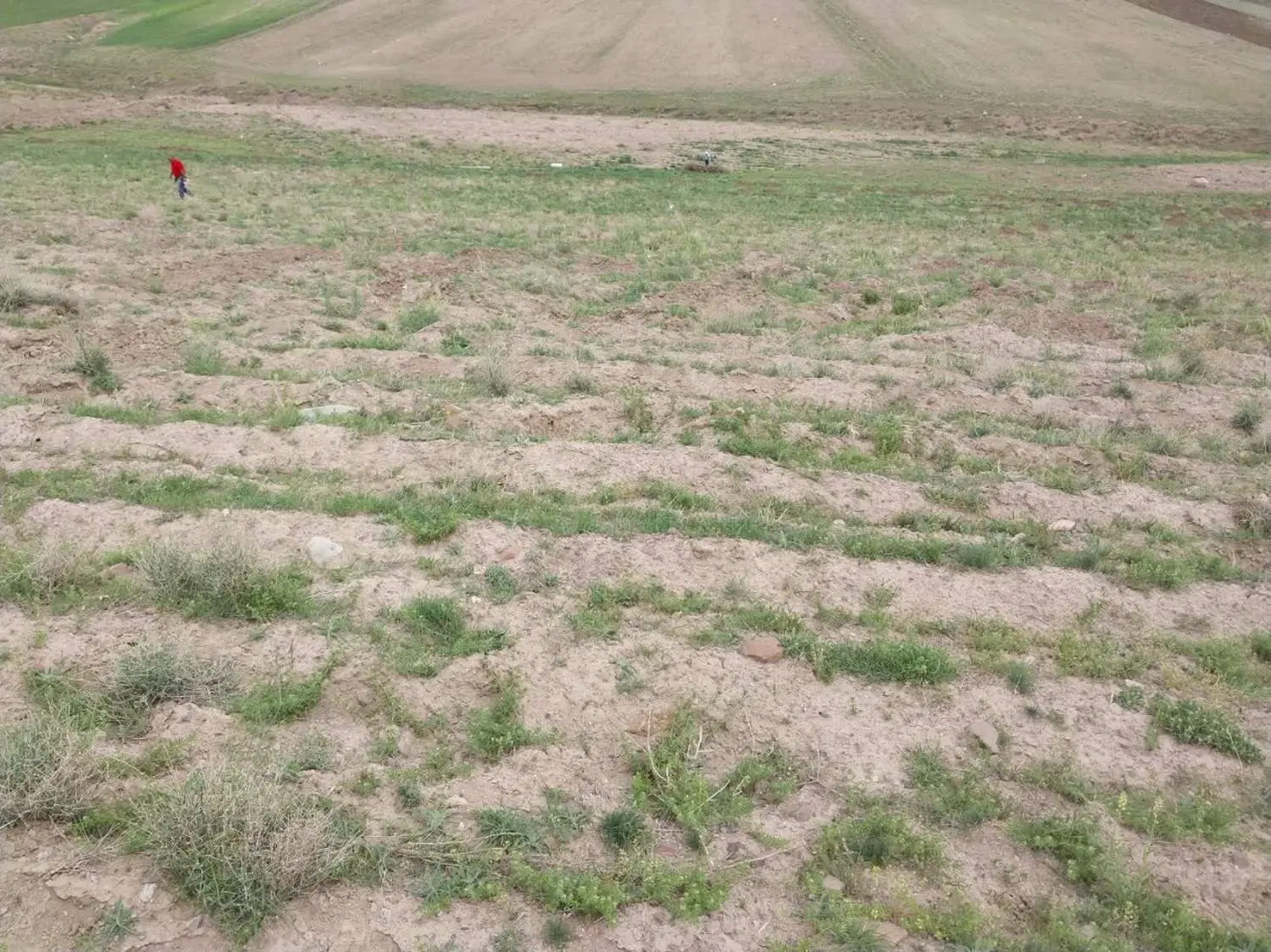 زمین کشاورزی
