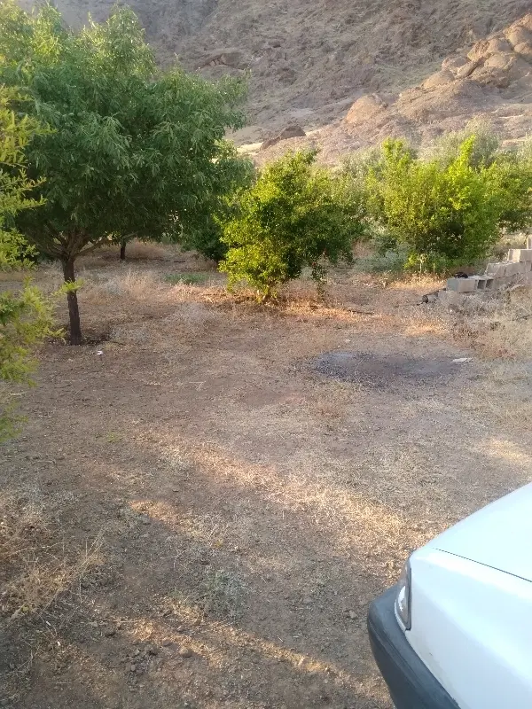 زمین باغ
