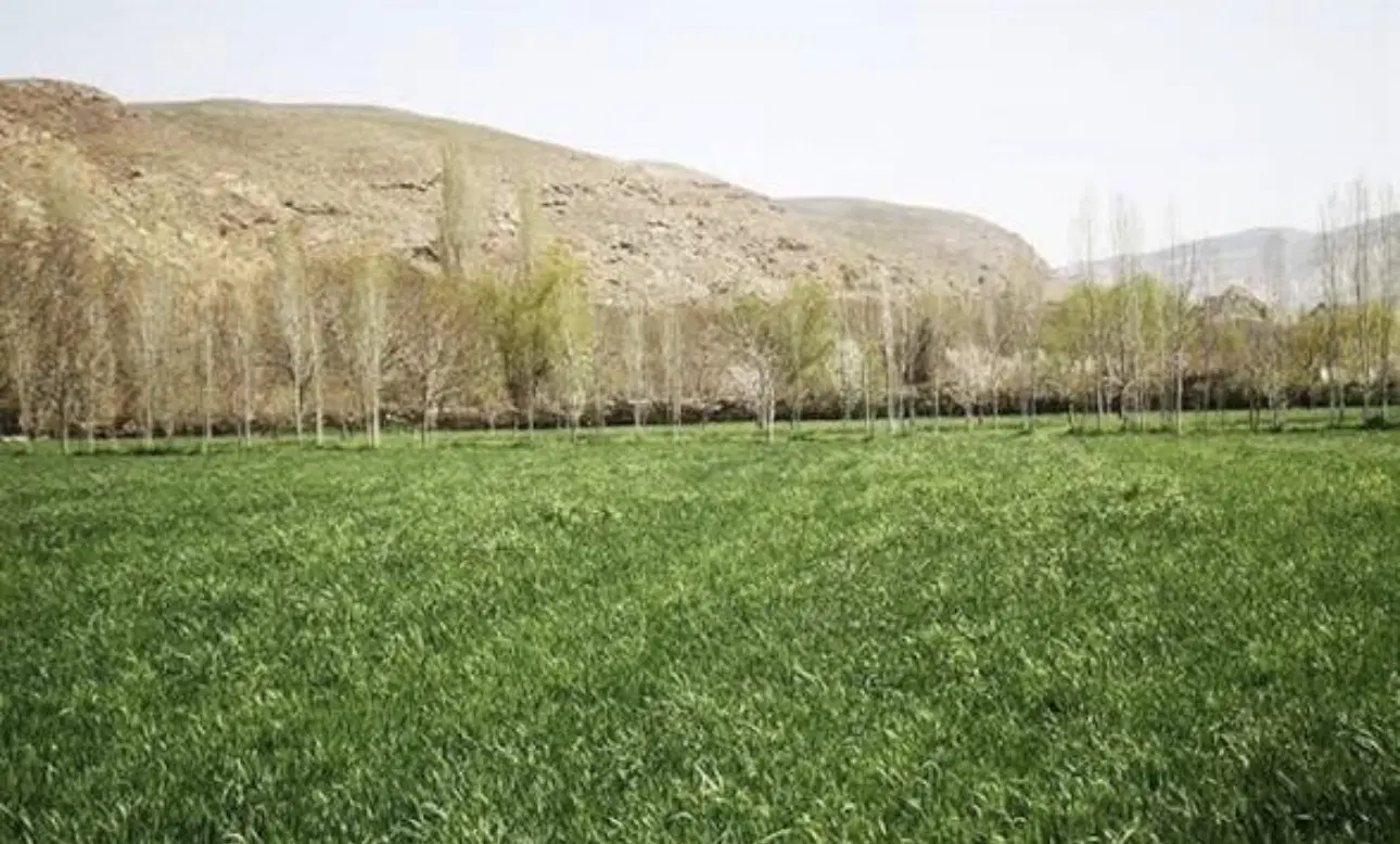 زمین و باغ منابع طبیعی روستای قورغان