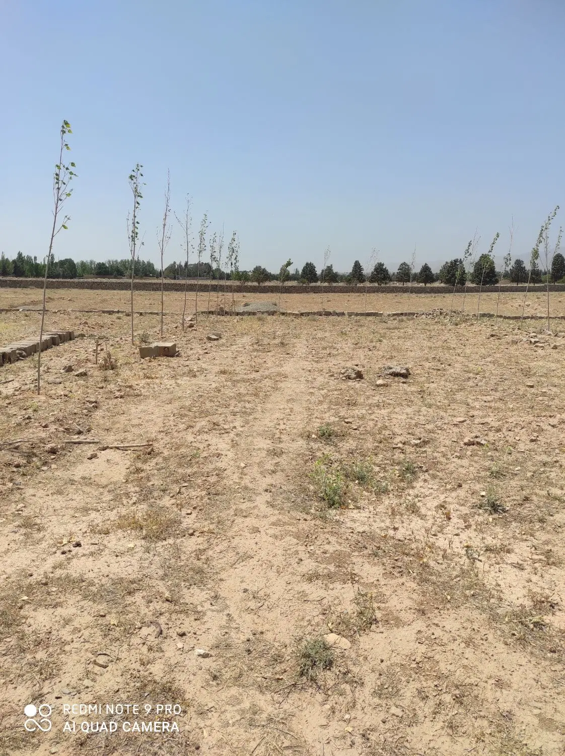 زمین زراعی به مساحت ۴۰۰متر