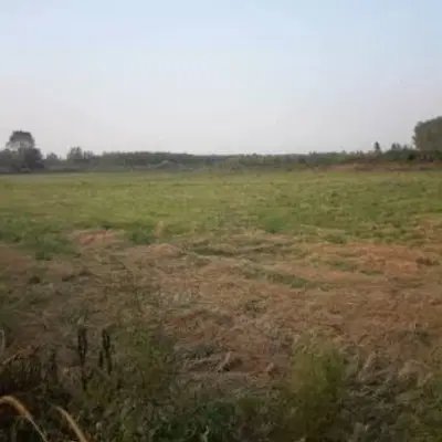 زمین باغ