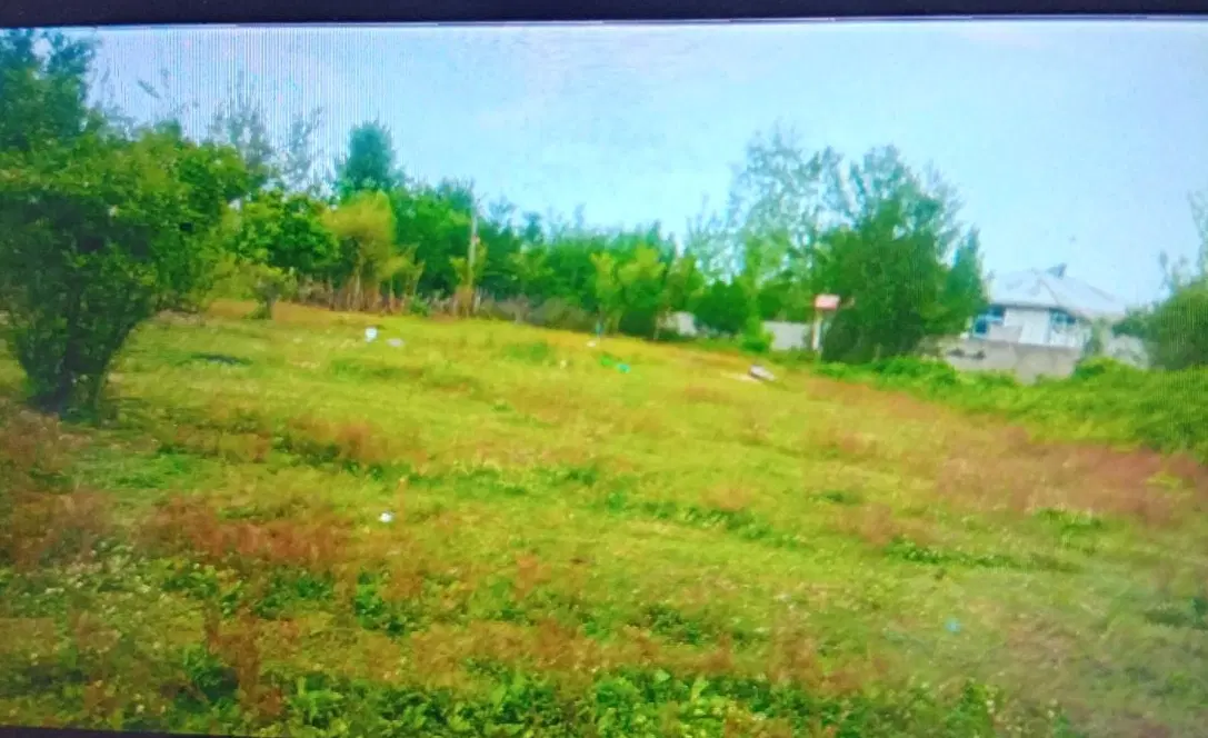 فروش زمین مسکونی