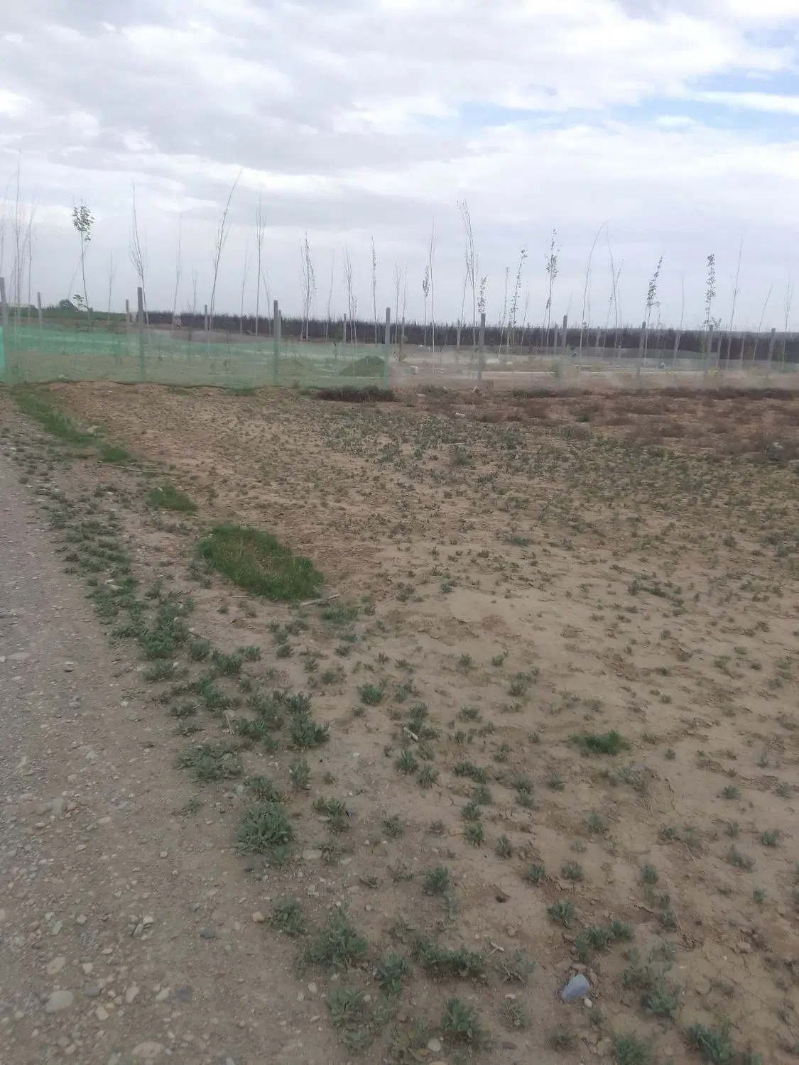یک قطعه زمین کشاورزی باغی