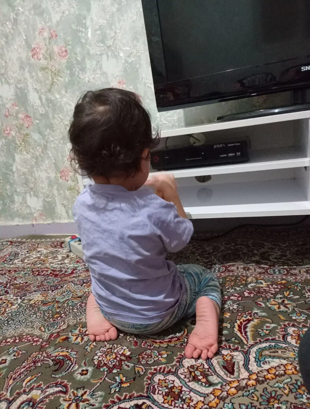فروش آپارتمان سیمتری ۲۴ متری