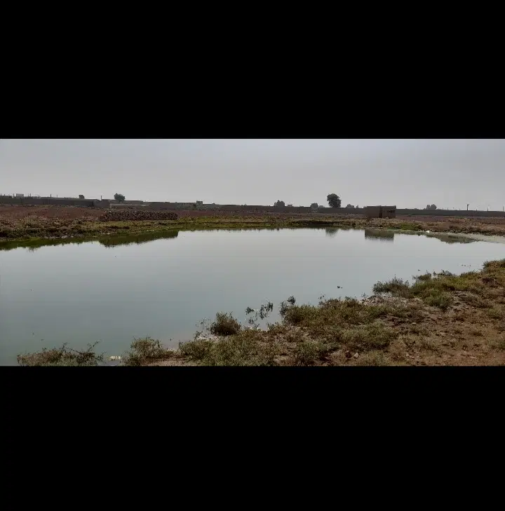 زمین کشاورزی