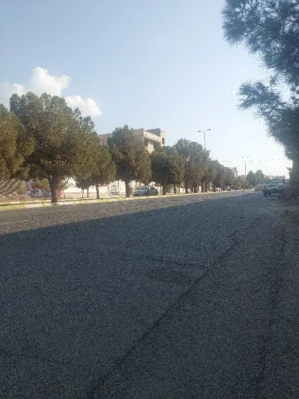 تجاری زینلی
