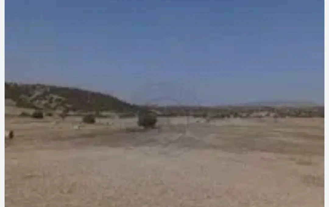 زمین