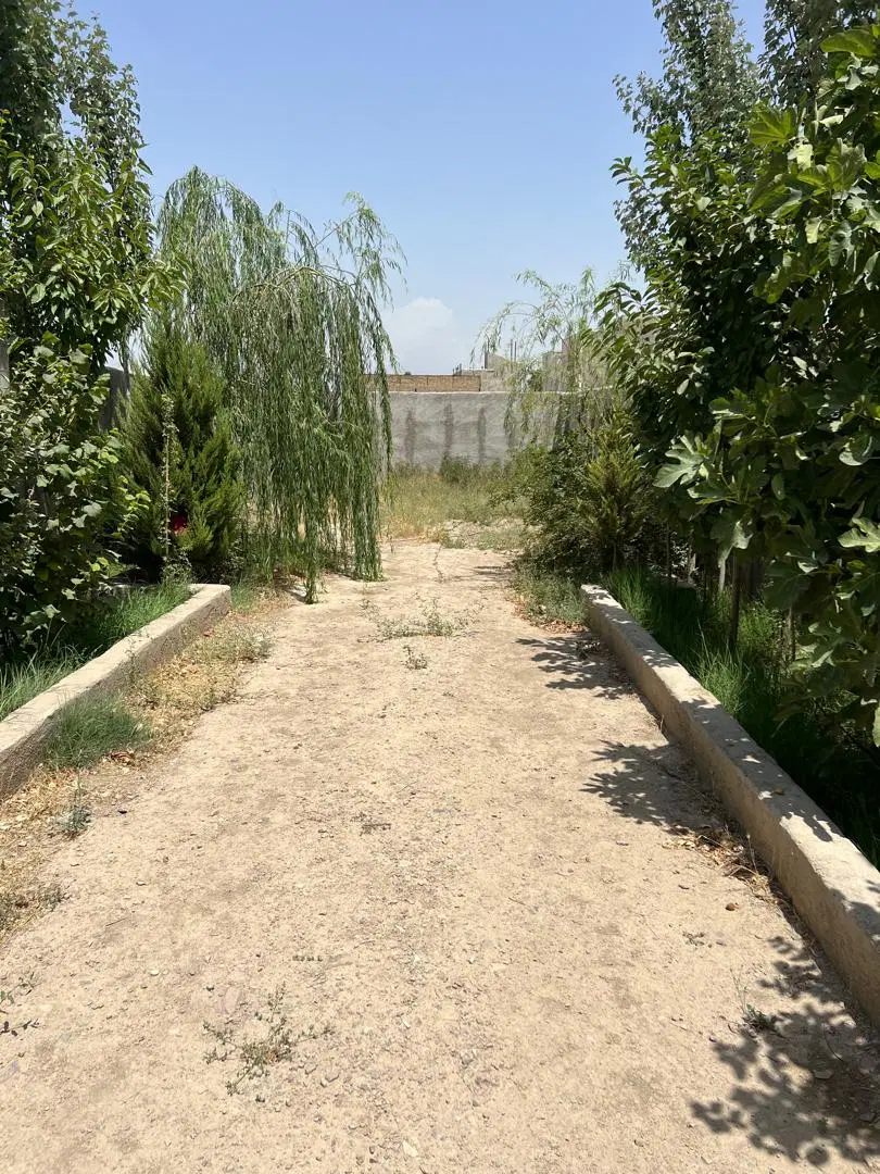 250متر باغچه چهارساله مناسب ویلا