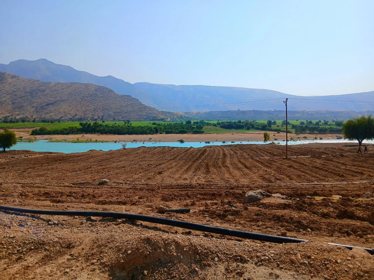 زمین کشاورزی