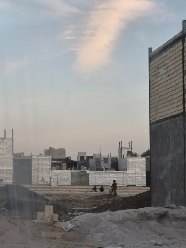 زمین پاپی خالدار