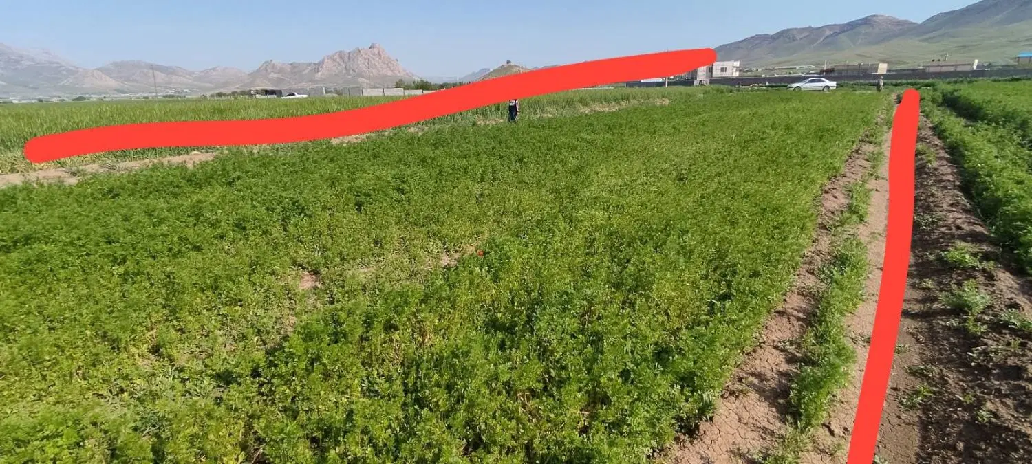 زمین طرح هادی روستای گاوپناه