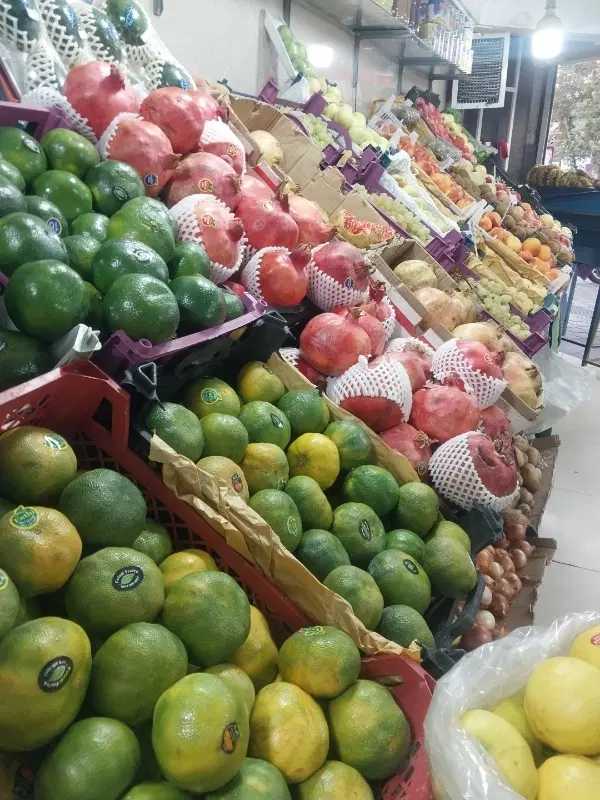 اجاره مغازه برای کسب و کار میوه فروی