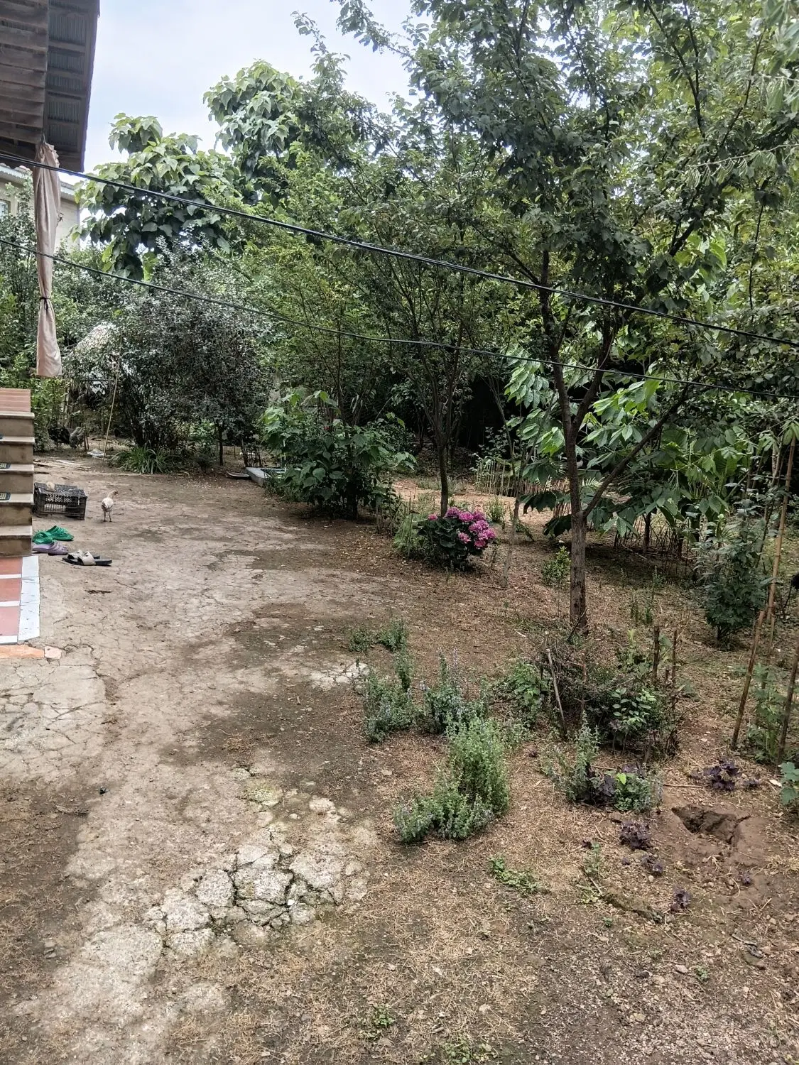 خانه محوطه