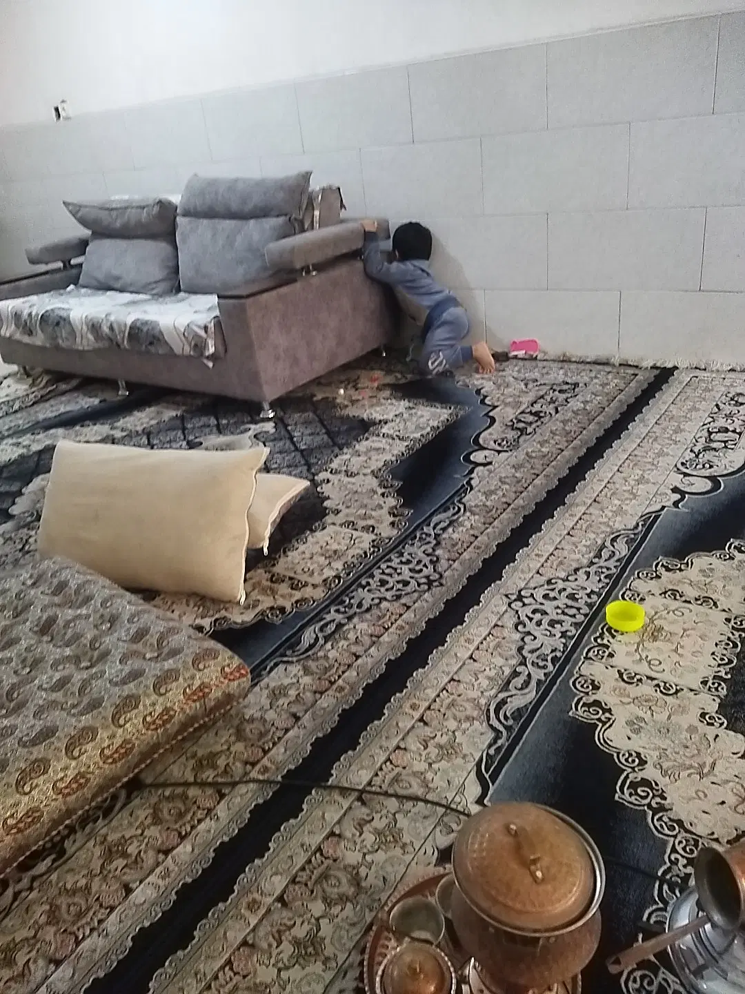 هم خانه فوری