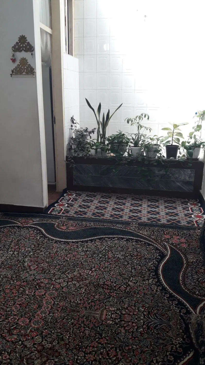پشته پاکمهر ۳۵ کوچه اصلی ۷۲ متر