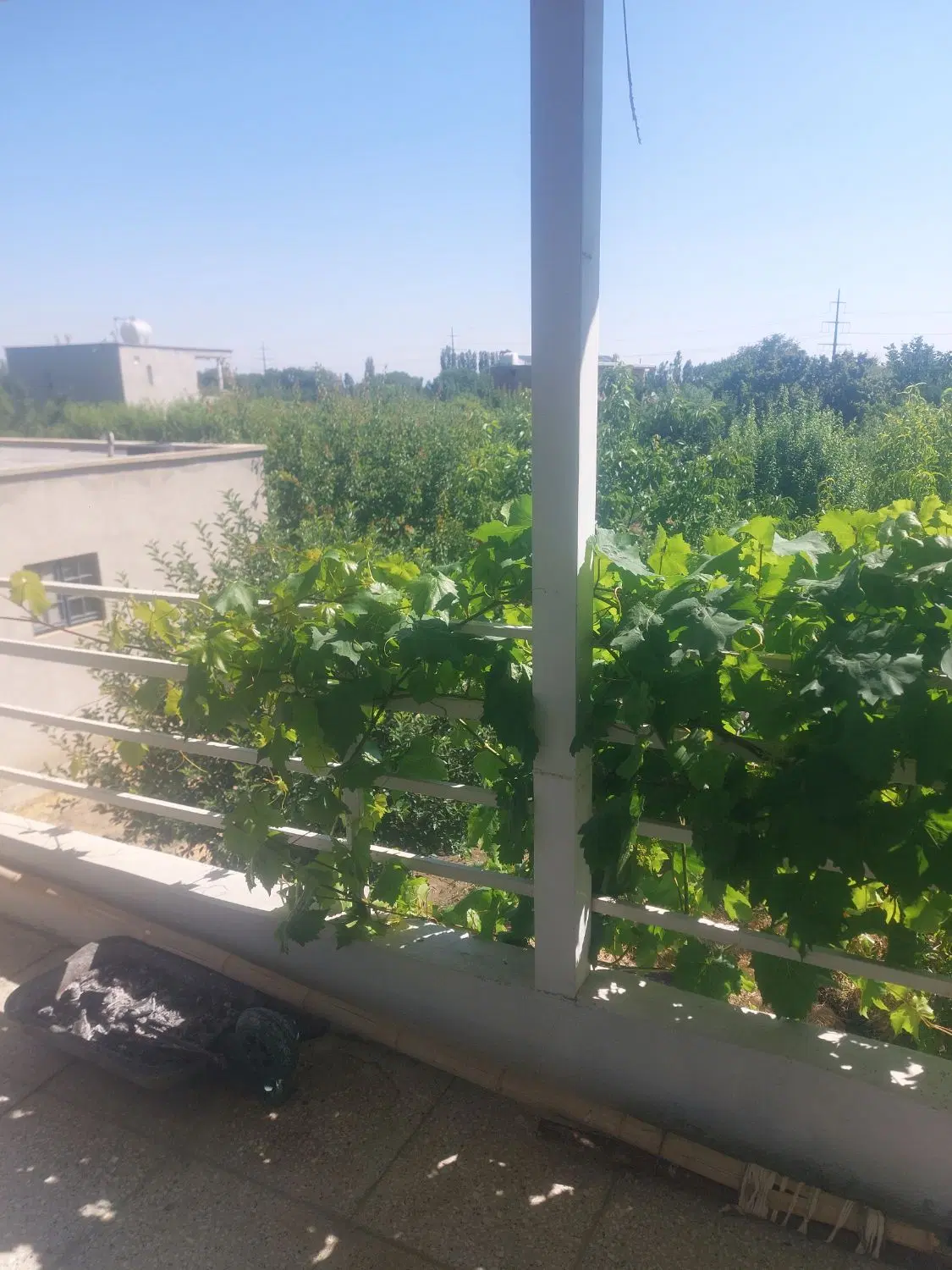 خانه باغ  با اب وبرق  چسبیده به آسفالت