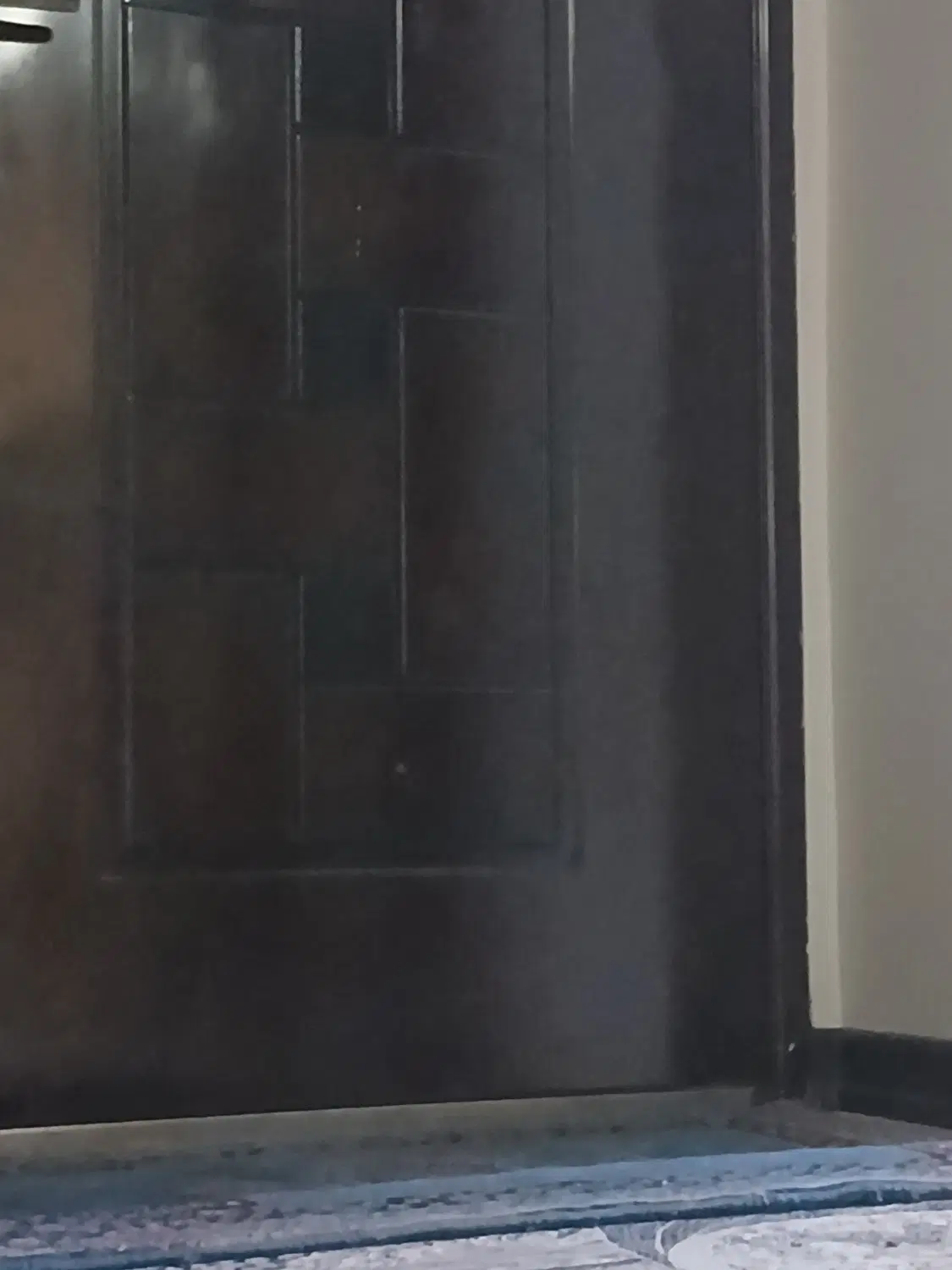 همخانه خانم