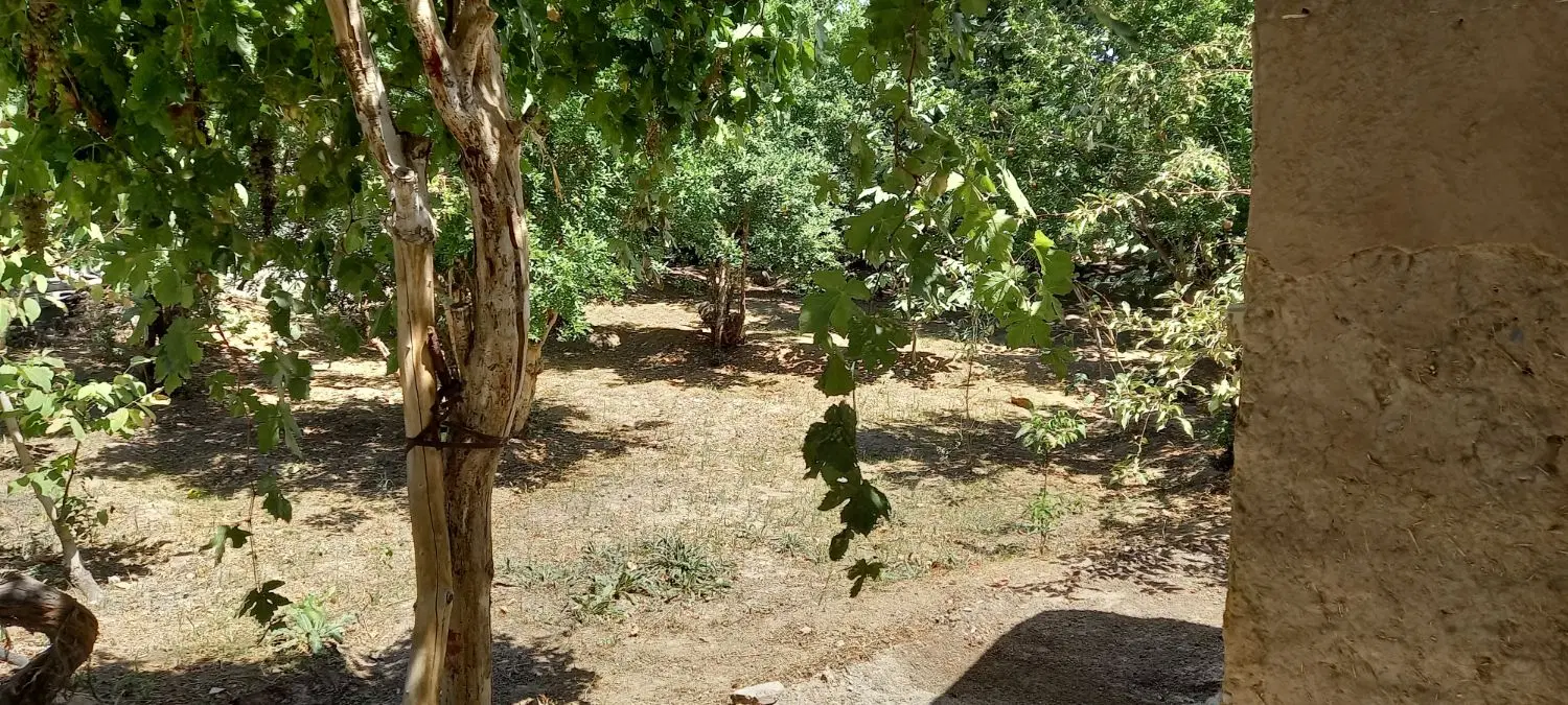 خونه باغ اجاره ای ماهان