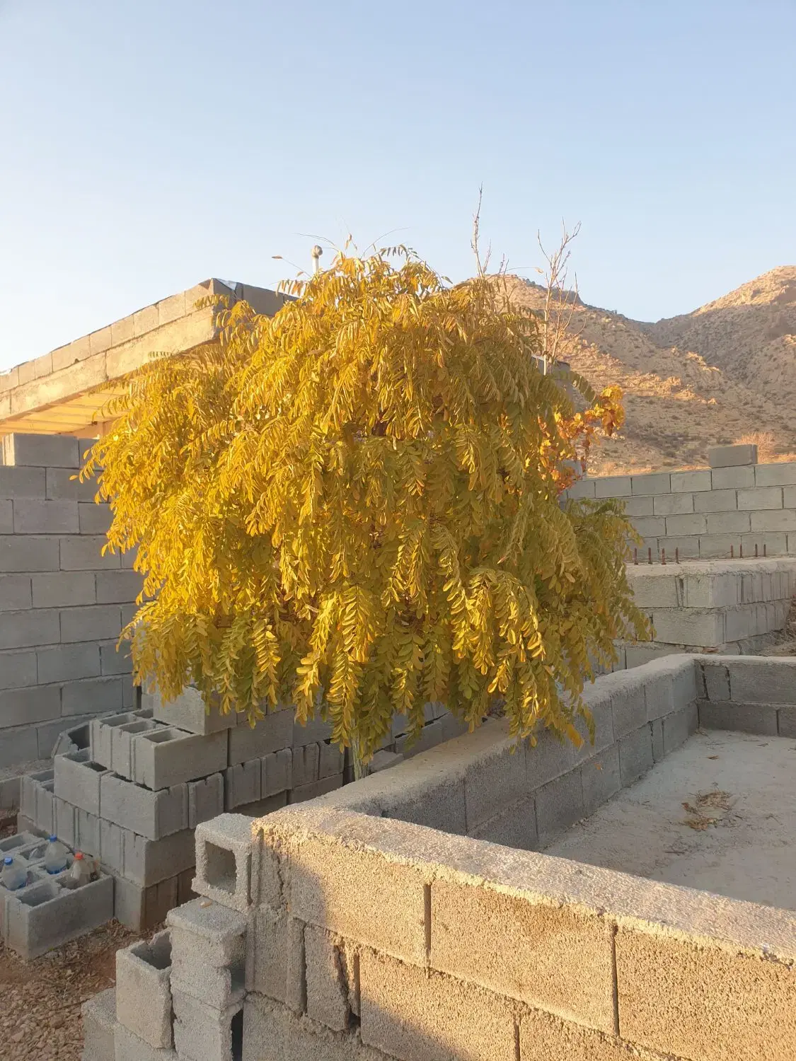 ۱۲۰۰ متر زمین باغ