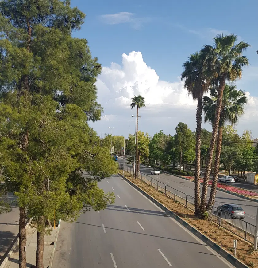 زمین پیشک ۵۴۰ بهر بلوار