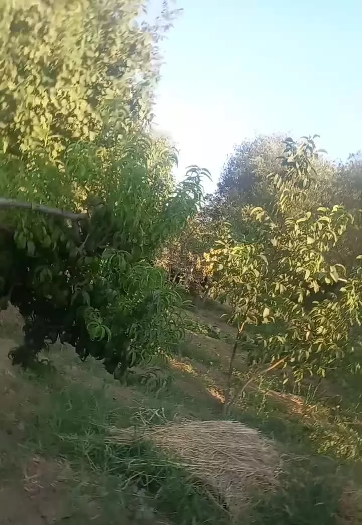 فروش باغ ویلای شهرکی قاسم آباد بزرگ کاسبی