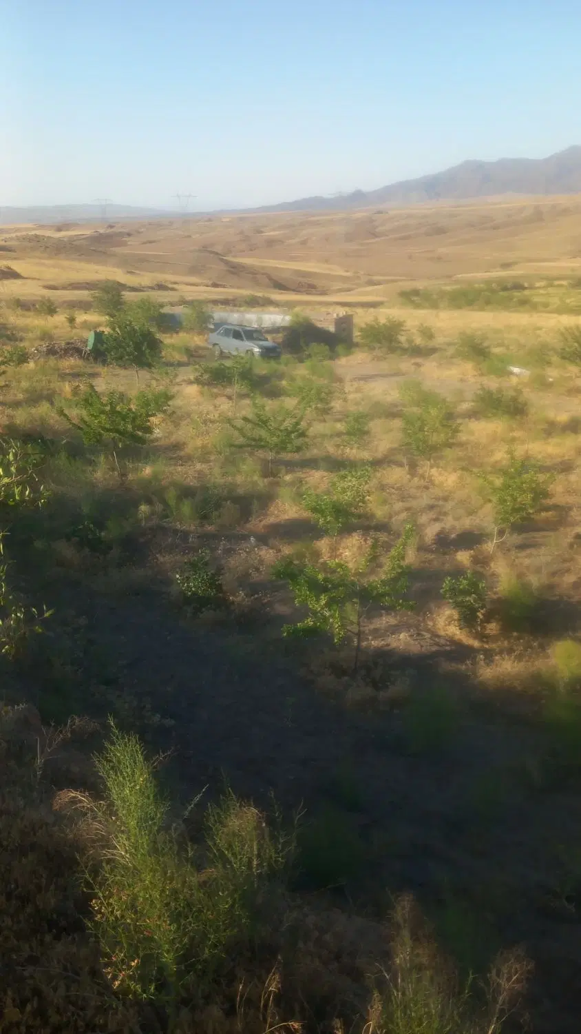 فروش باغ بزرگ در خوی