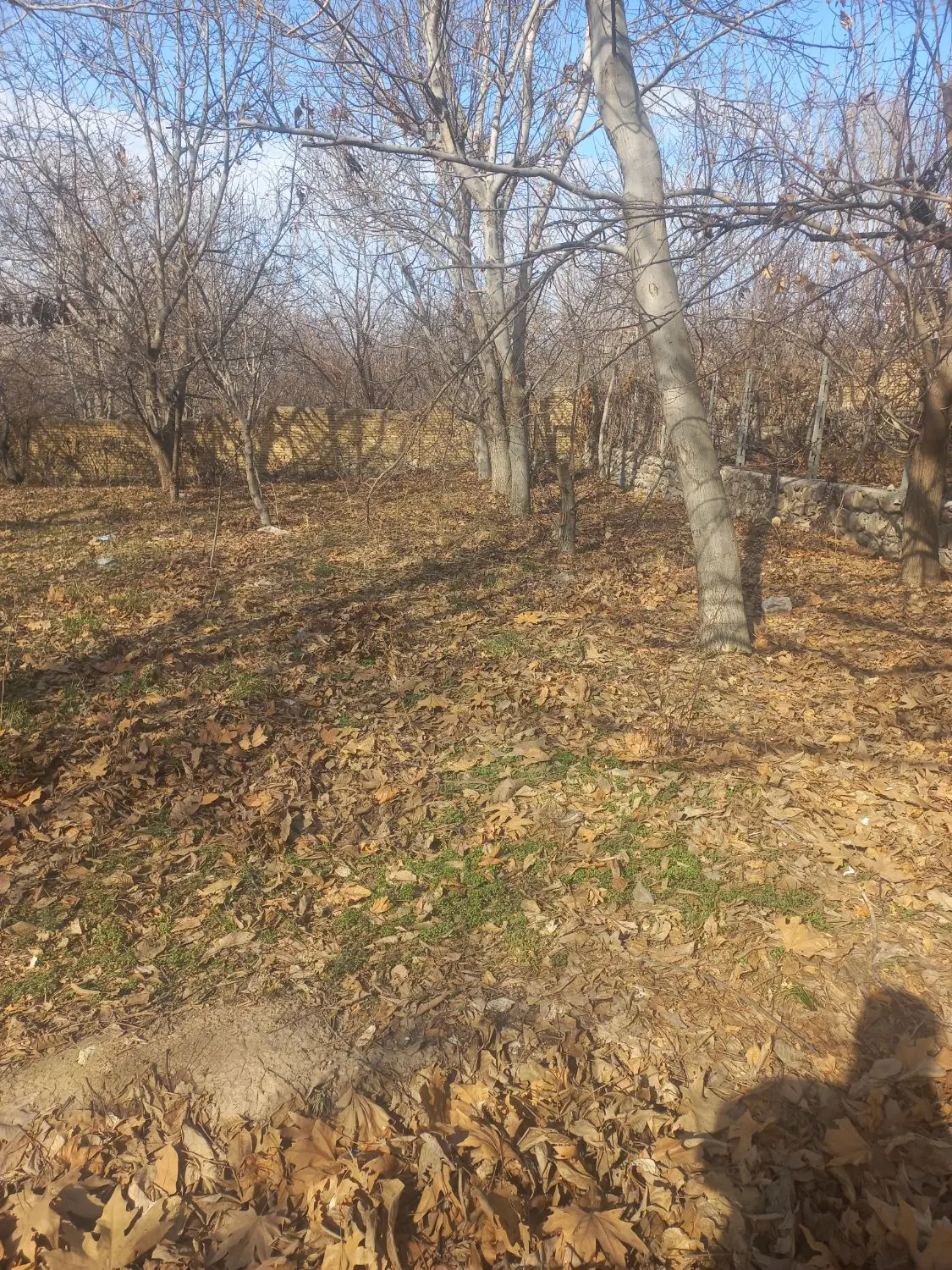 فروش باغ زیاران(پیله روخانه)